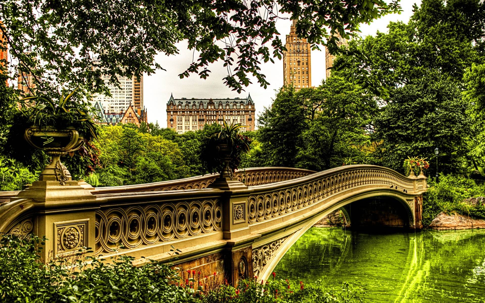 1920x1200 Central Park NY USA HD Wallpaper. Background Imagex1200