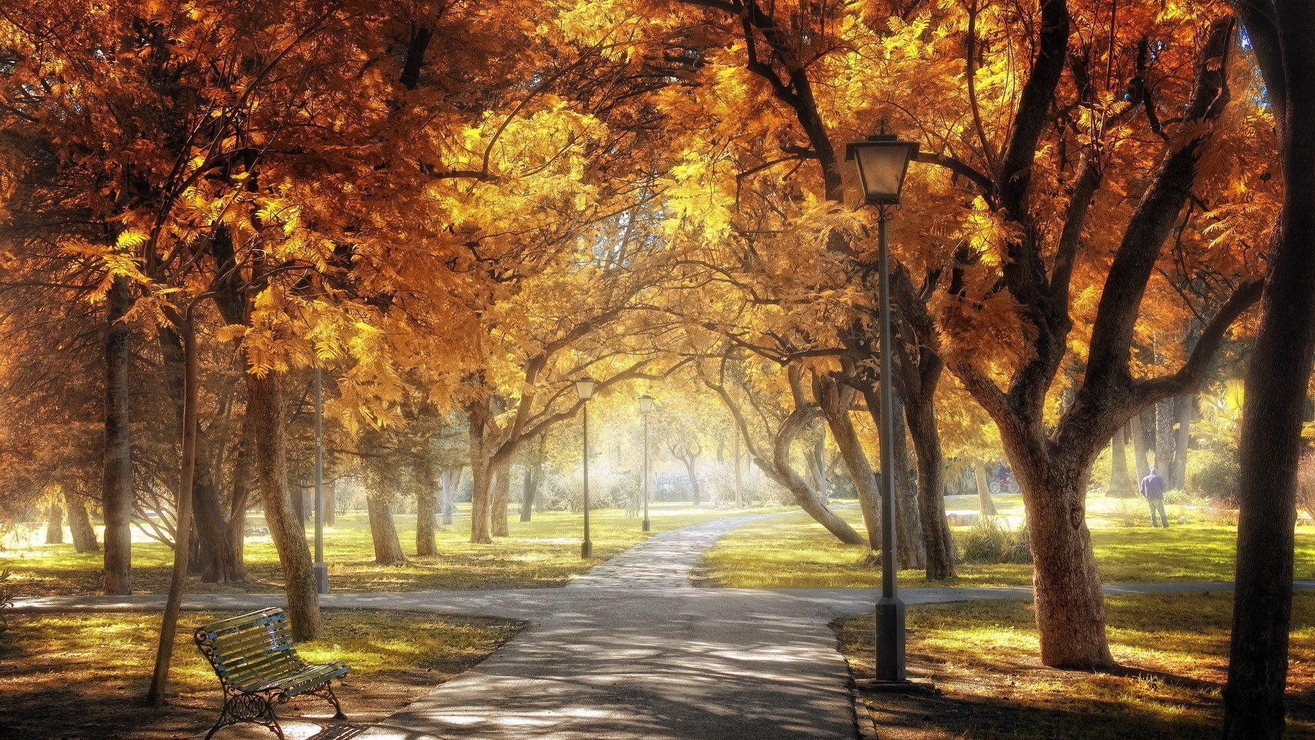 1920x1080 HD Wallpaper Of A Bench In Central Park