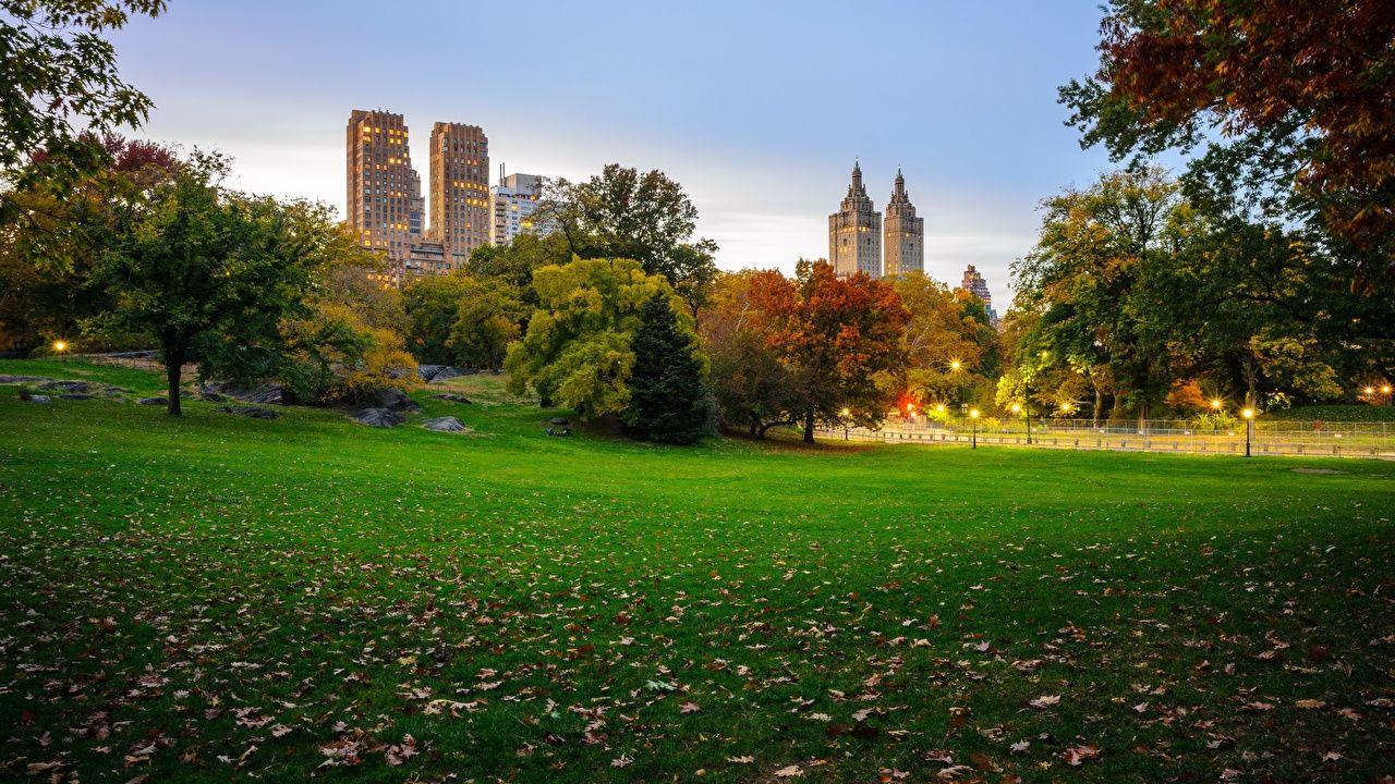 1280x720 Photos New York City USA Central Park Nature Parks Grass