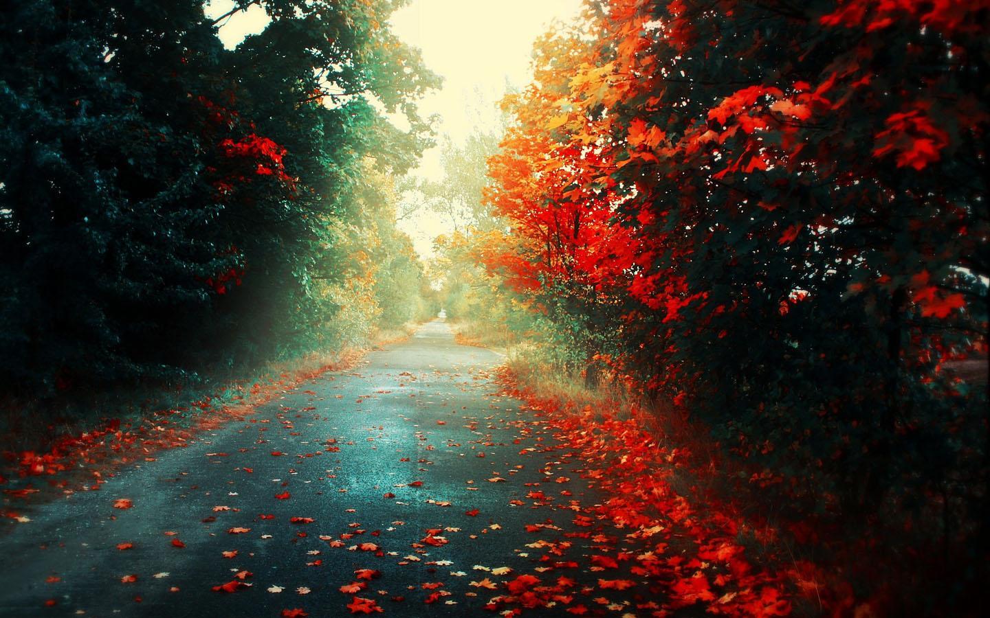 1440x900 Free Download Macbook Pro 13 Inch Wallpaper HD