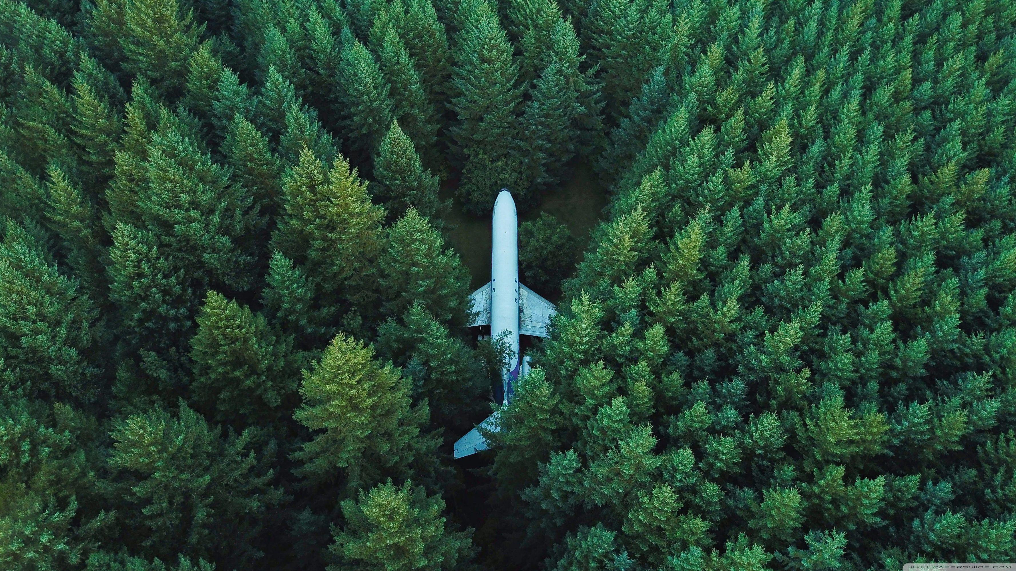 3554x1999 Best Aerial Drone Photography Ultra HD Desktop Background Wallpaper for 4K UHD TV : Widescreen & UltraWide Desktop & Laptop : Tablet