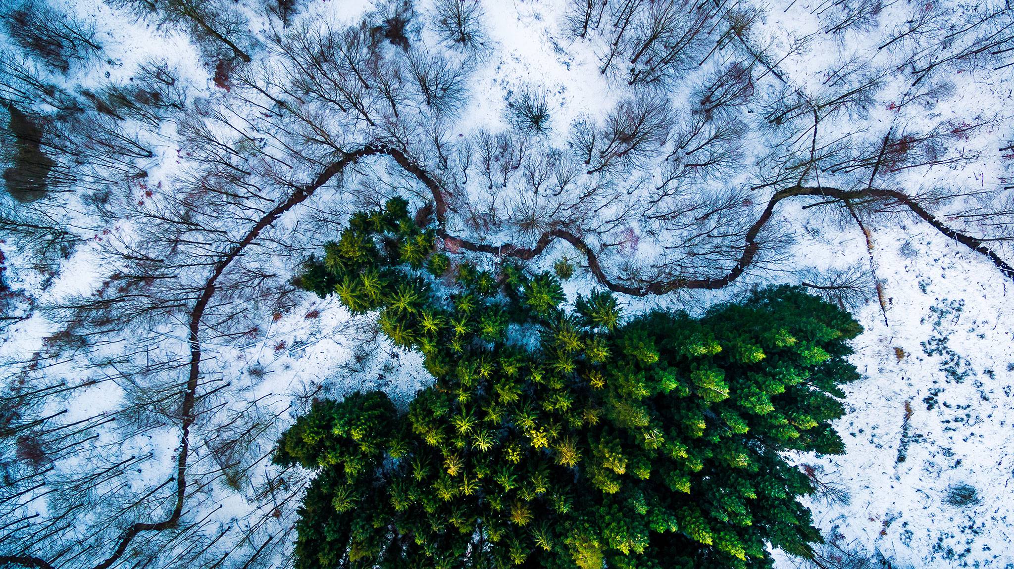 2048x1150 These Are the Top Drone Photo in the World