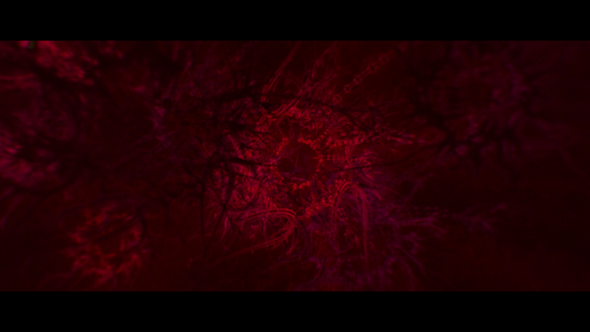 1920x1080 Free download Dmt Wallpaper HD You smoke dmt on a tuesday [1920x1080] for your Desktop, Mobile & Tablet. Explore HD DMT Wallpaper. HD DMT Wallpaper, Dmt Wallpaper, HD Wallpaper HD Pic