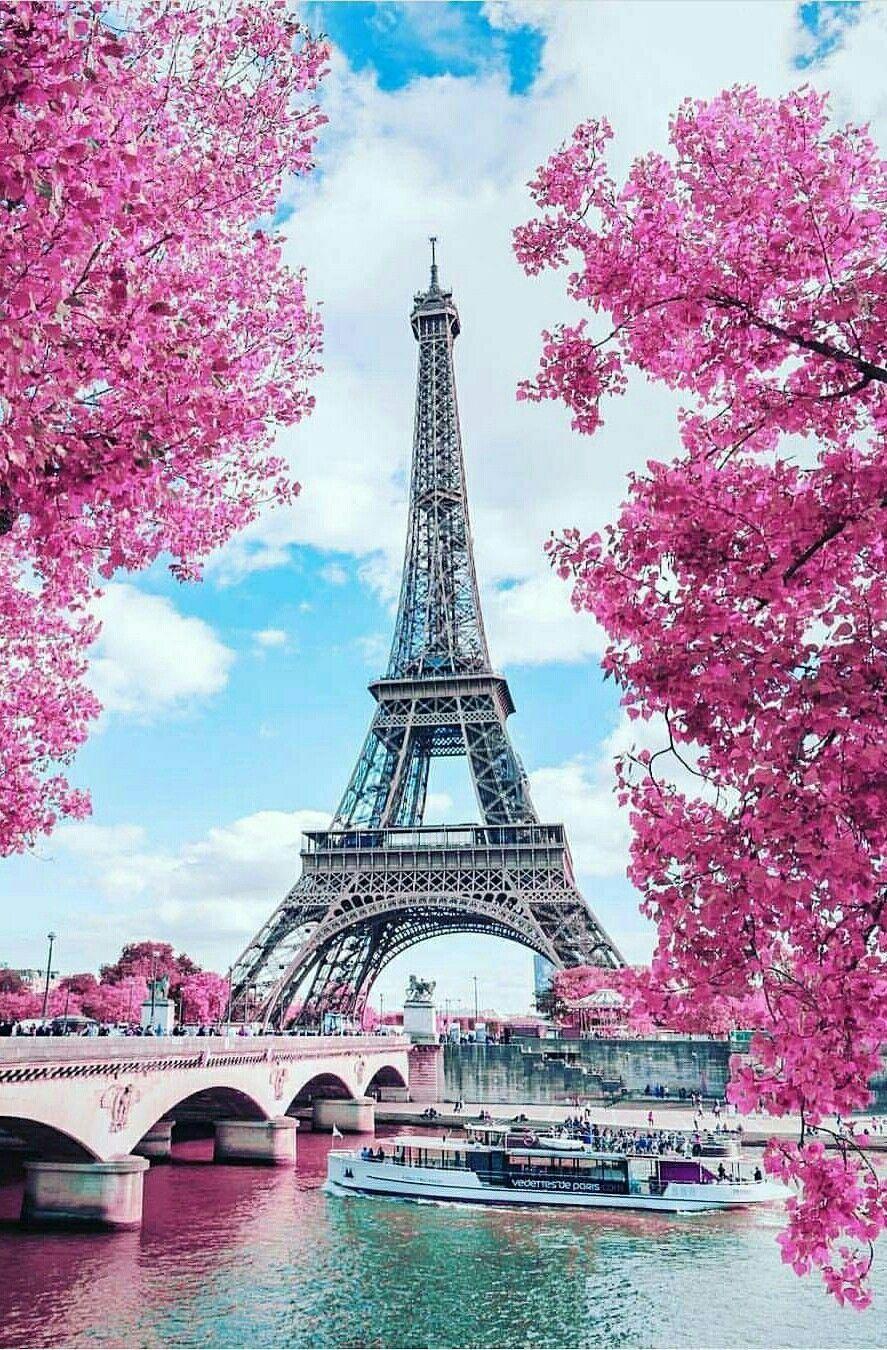 Romantic Seamless Eiffel Tower Paris Background Stock Vector  Illustration  of cute eifel 112496516