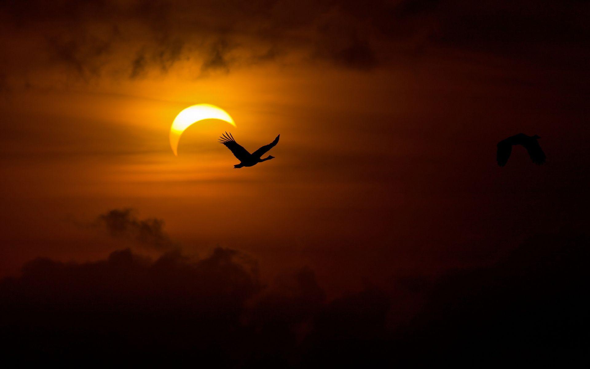 1920x1200 Total Solar Eclipse From Spac HD Wallpaper, Background Image