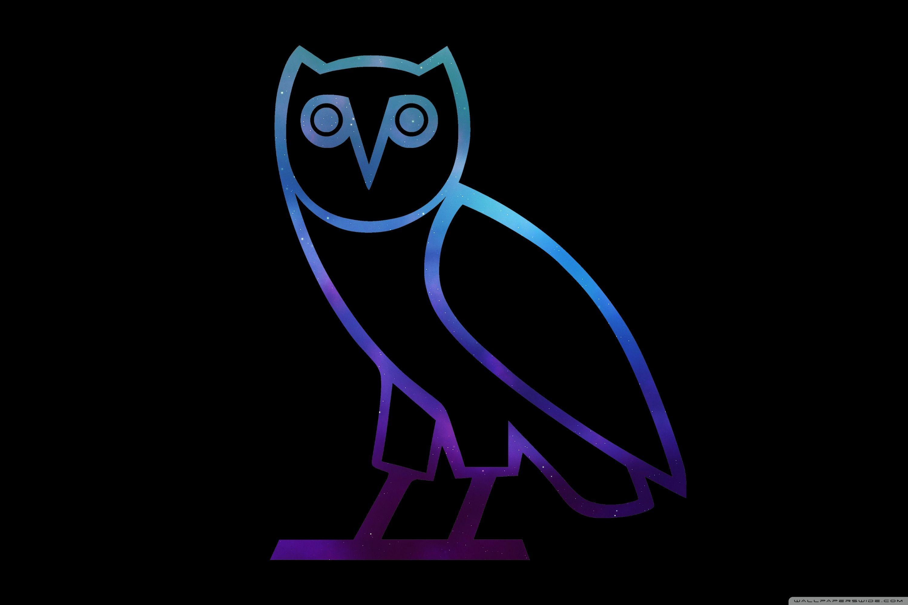 Hình nền con cú 3000x2000 Hình nền mới Drake Owl Ovo â ¤ 4k Hình nền máy tính HD