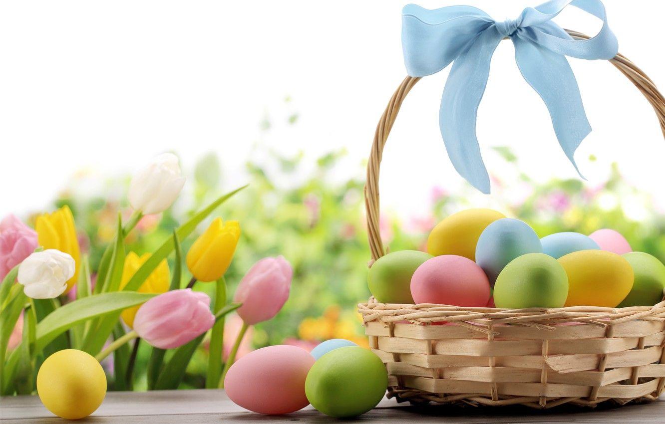 1332x850 Wallpaper flowers, basket, eggs, Easter, tape, tulips, bow, flowers, spring, Easter, eggs image for desktop, section праздники