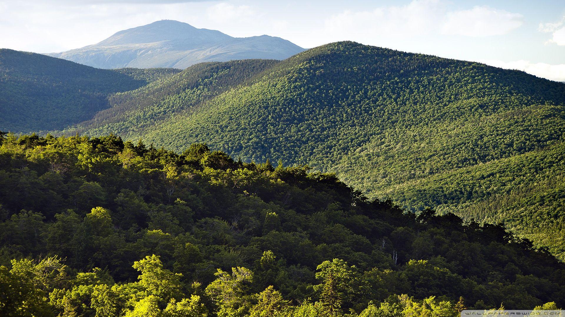 1920x1080 Mount Washington, White Mountain National Forest Ultra HD Desktop Background Wallpaper for 4K UHD TV : Widescreen & UltraWide Desktop & Laptop : Tablet