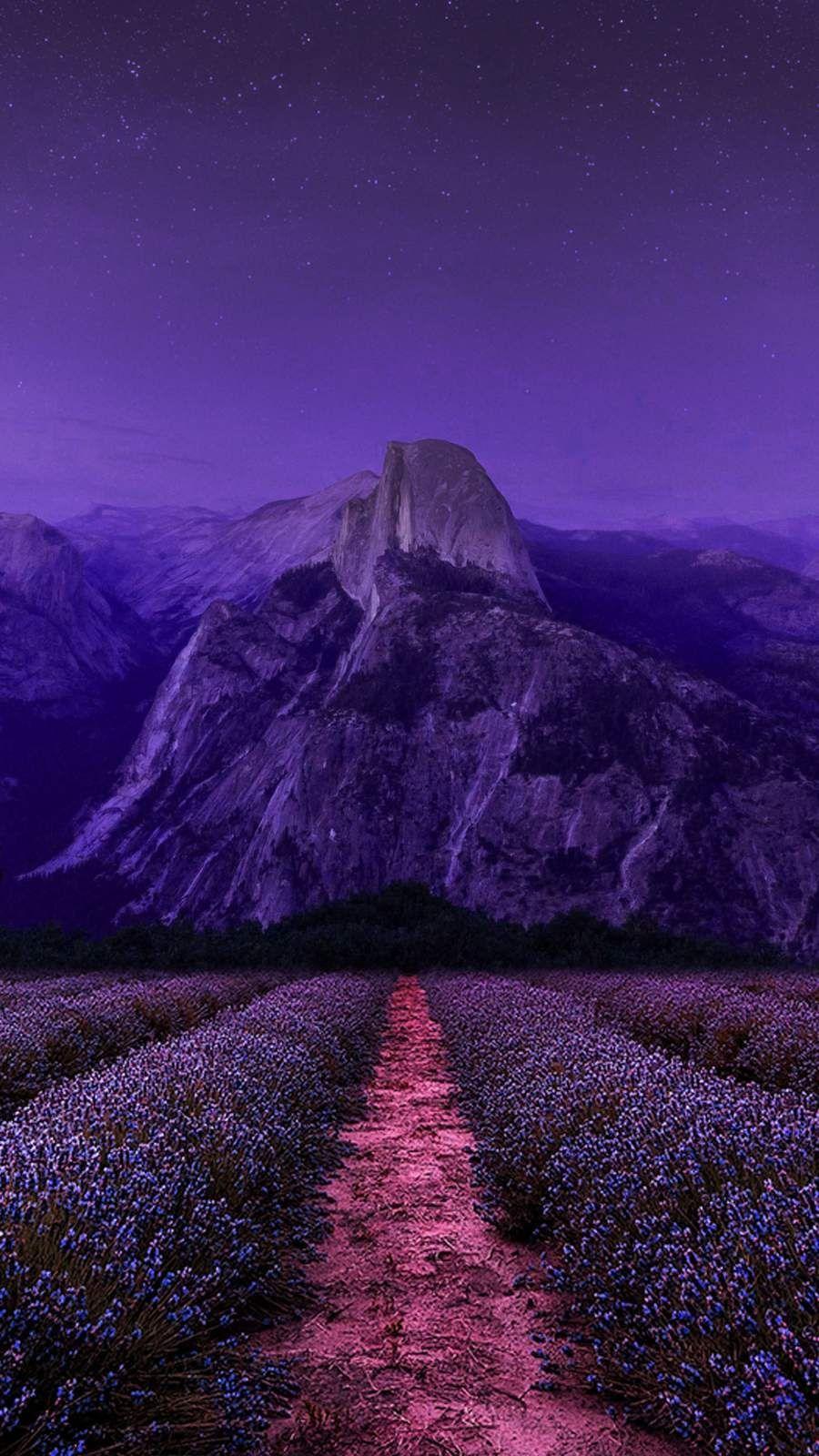Purple Nature iPhone Wallpapers - Top Free Purple Nature iPhone Backgrounds  - WallpaperAccess