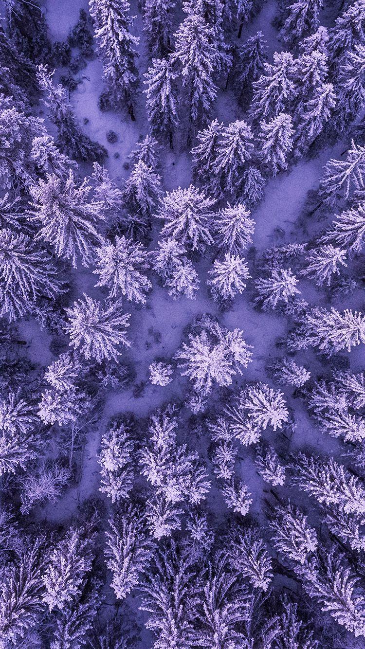 750x1334 Mountain Forest Wood Purple Nature