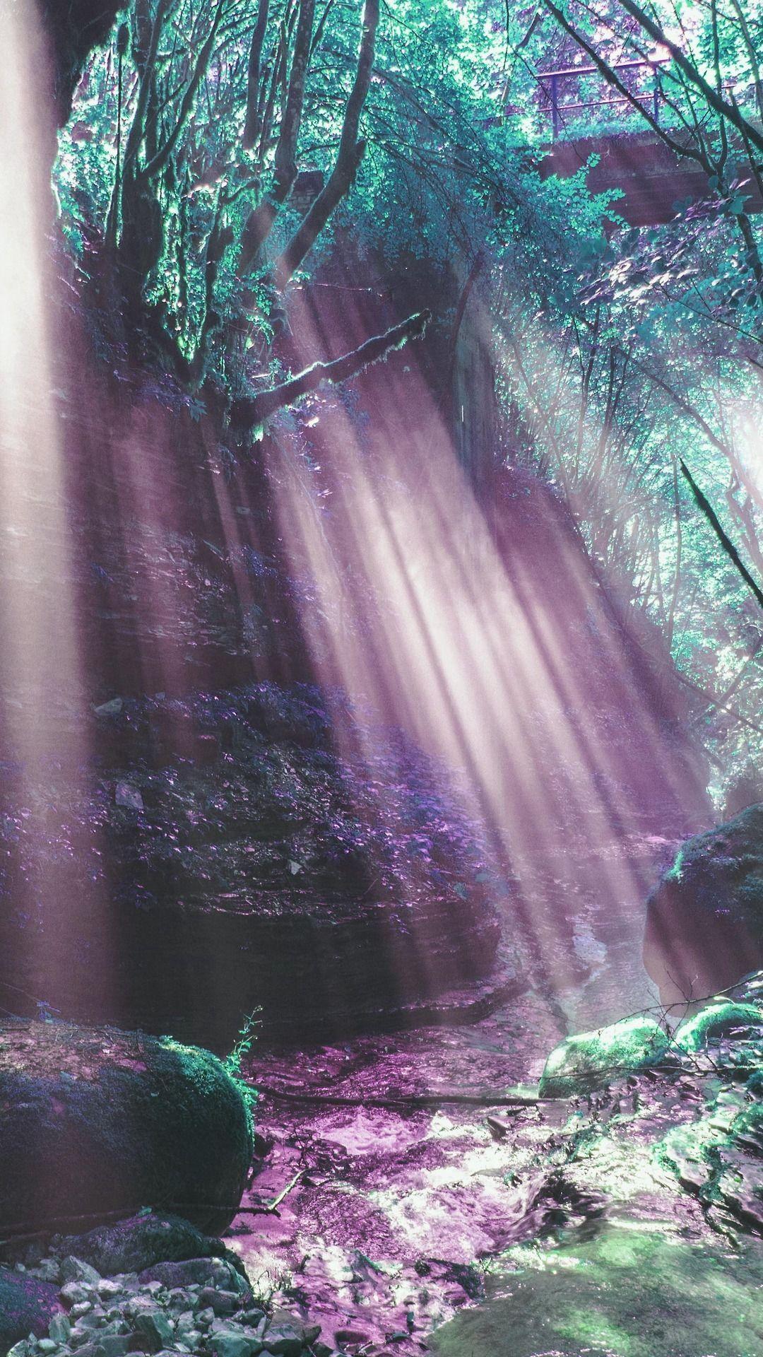 1080x1920 iPhone Wallpaper. Purple, Nature, Green, Light, Natural environment, Sunlight