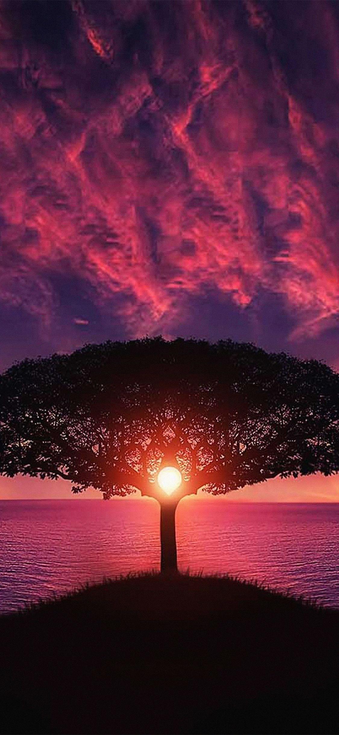 1125x2436 iPhone X wallpaper. sea tree purple sky nature