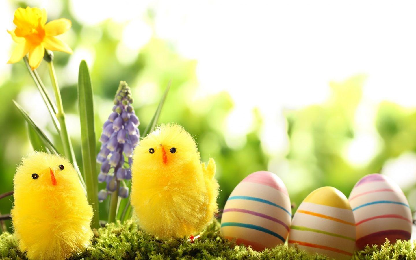 1440x900 Easter Basket Decoration HD Wallpaper