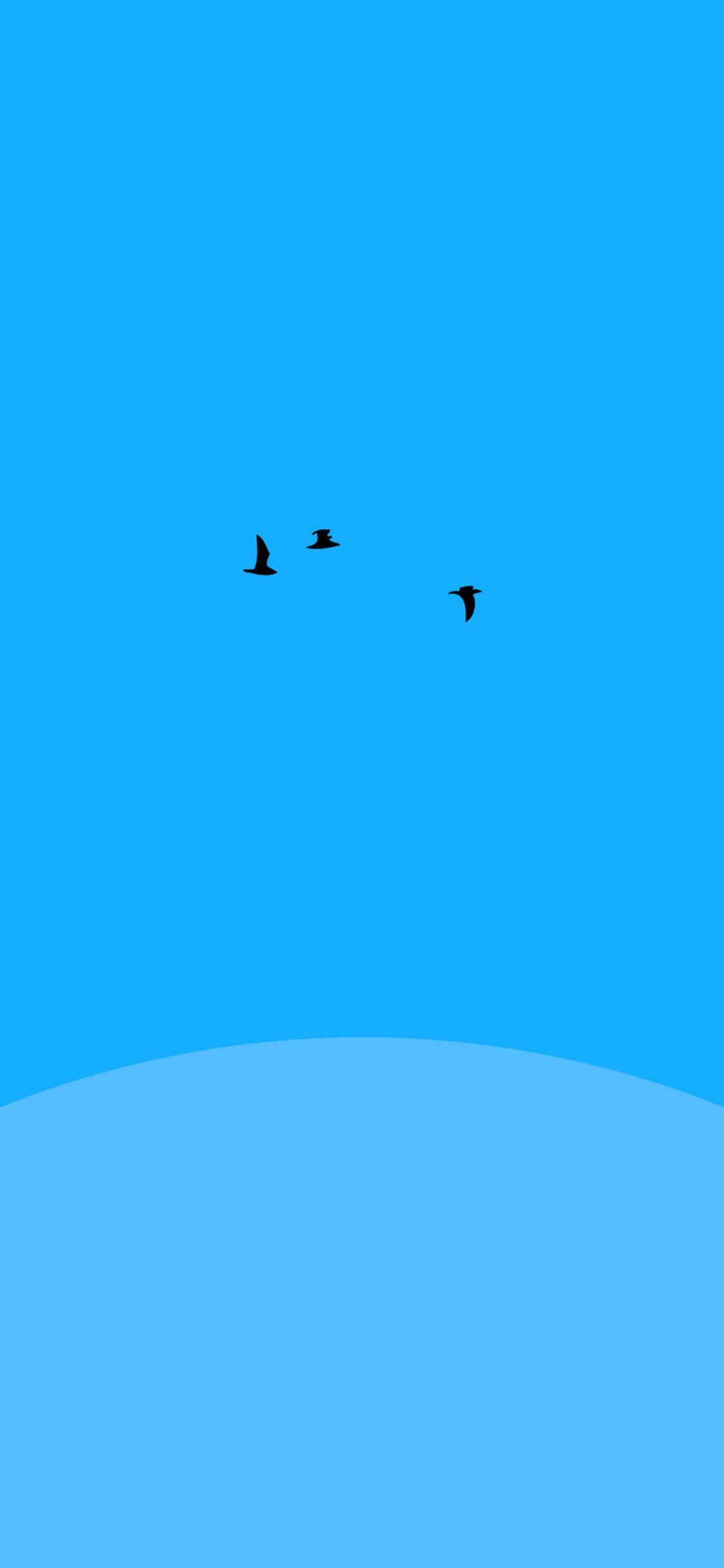 1125x2436 iPhone X wallpaper. sunset blue bird minimal