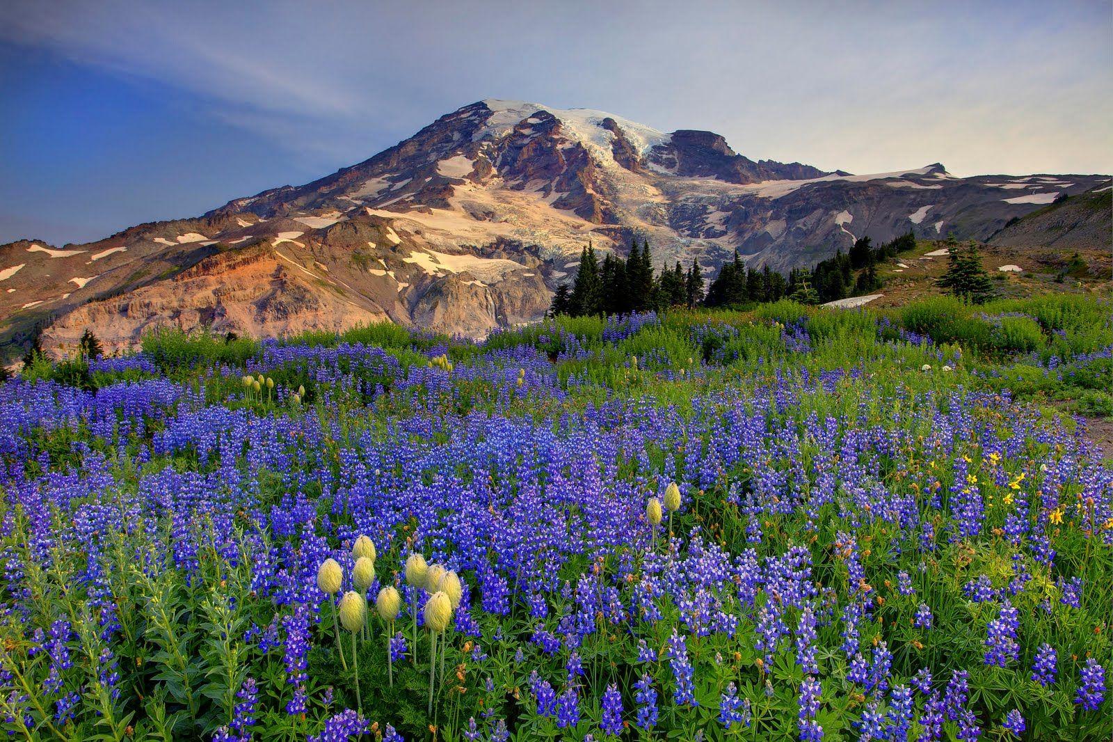 1600x1066 Mt Washington Wallpaper