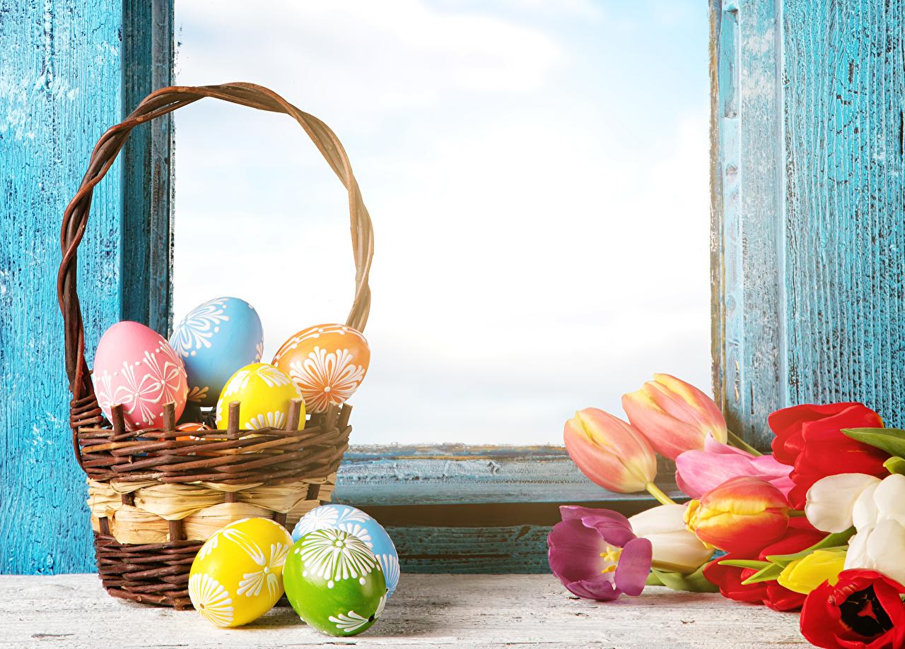 Easter Basket Wallpapers - Top Free Easter Basket Backgrounds