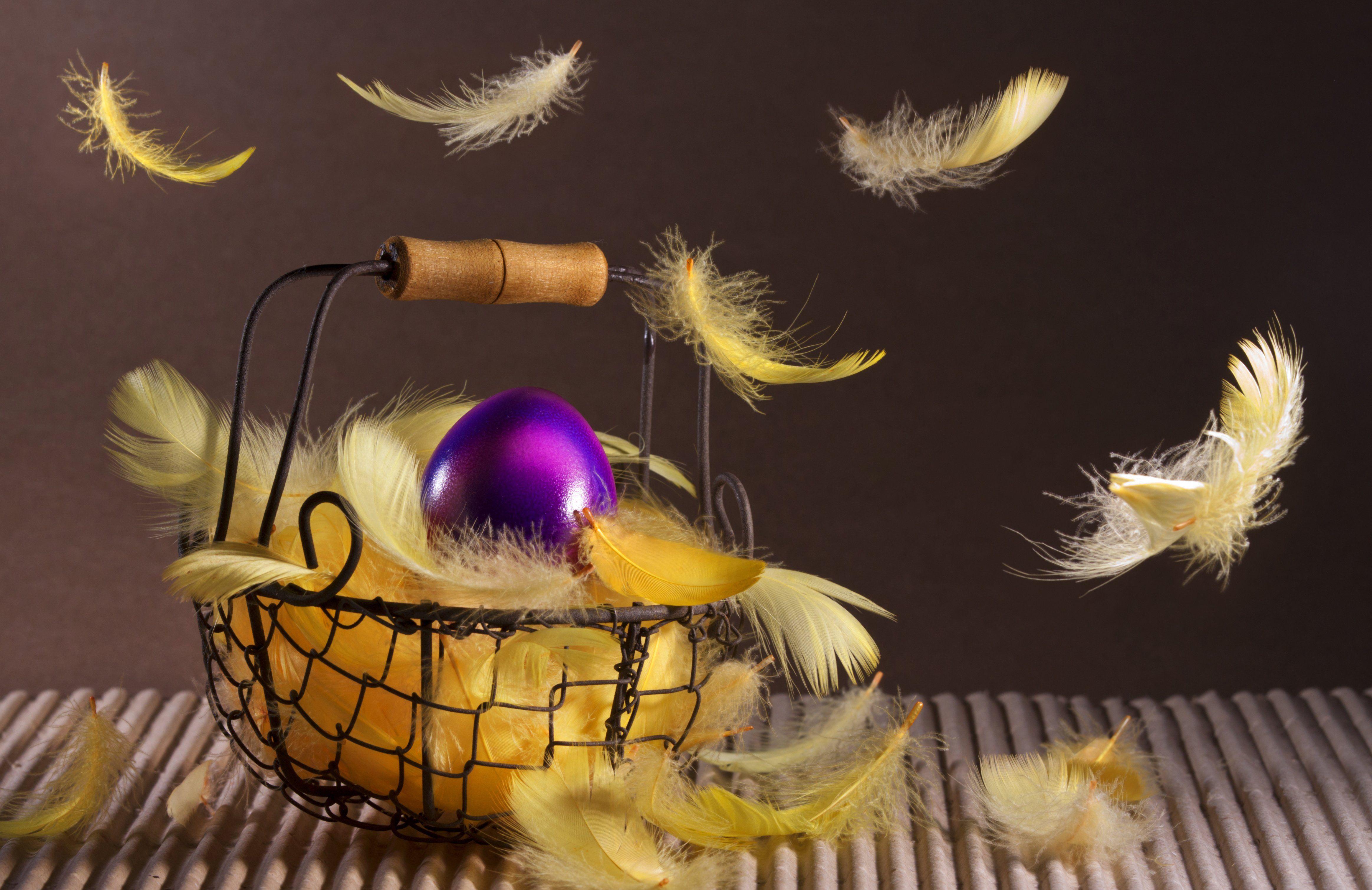 4654x3019 Easter basket feathers basket bokeh wallpaperx3019