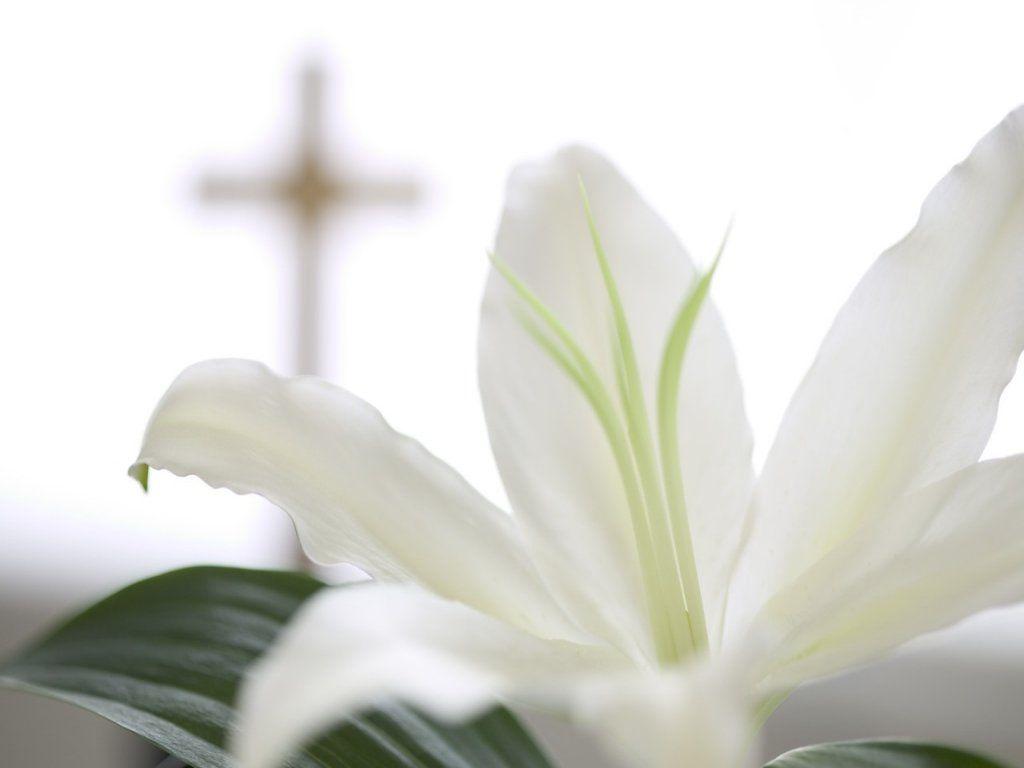 1024x768 Easter 2020