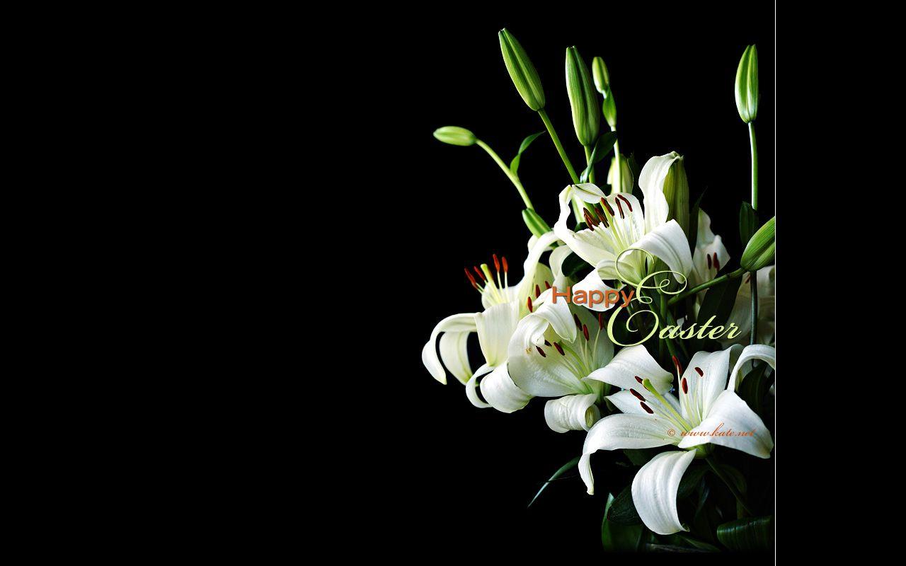 1280x800 Happy Easter (Pascha), Easter Lilies < Holidays < Miscellaneous < Desktop Wallpaper
