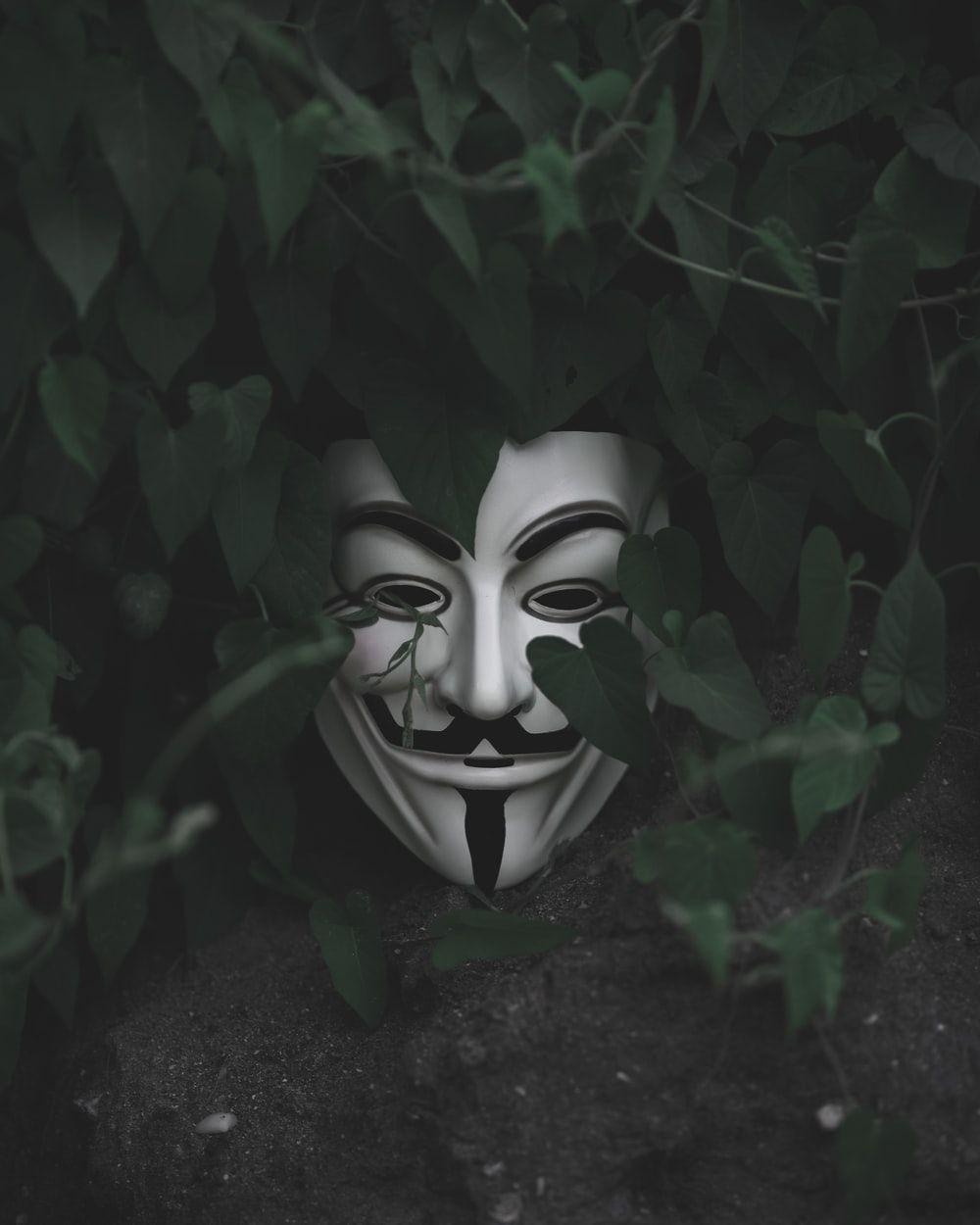1000x1250 Guy Fawkes Mask Picture. Download Free Image