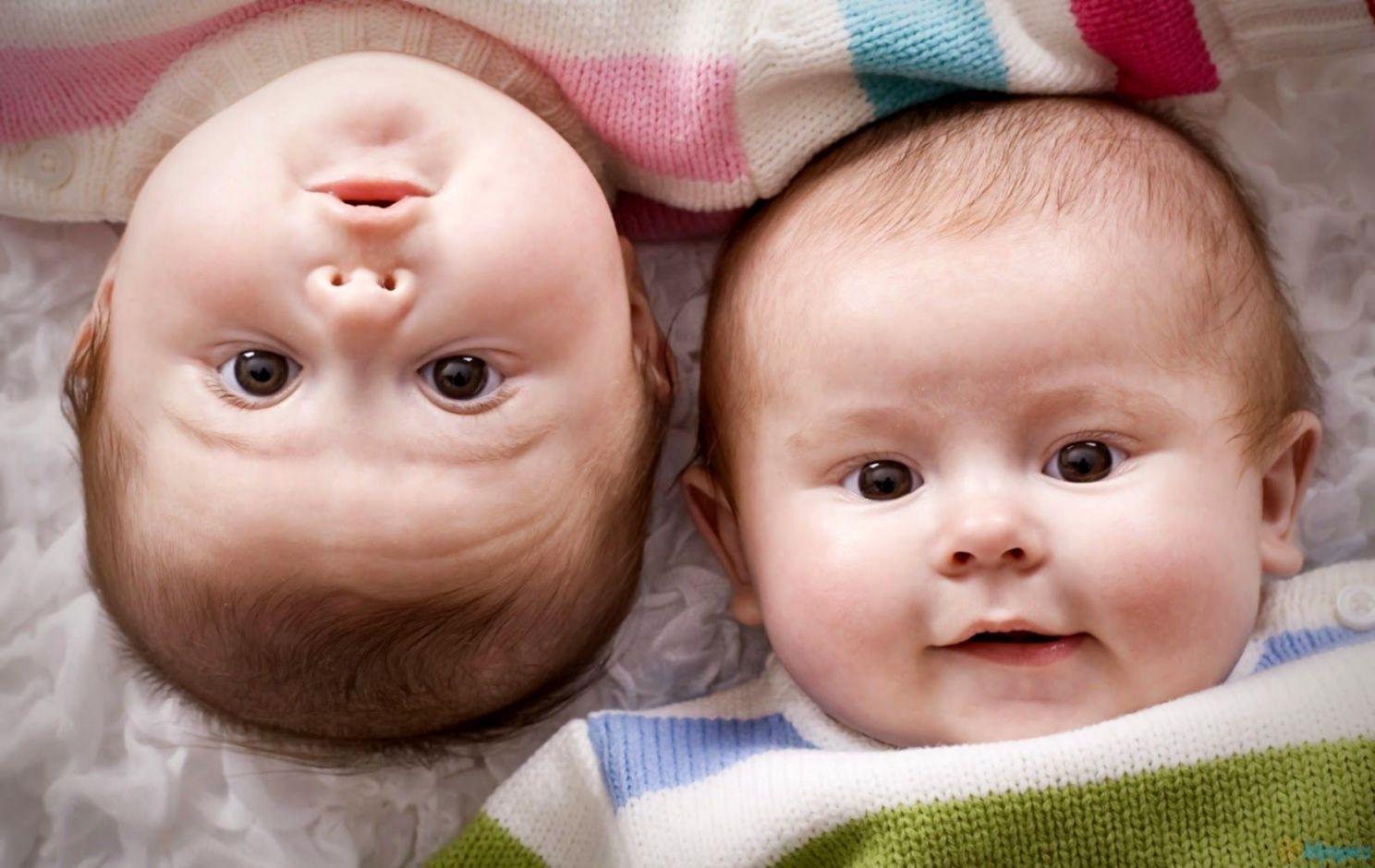 1488x940 Twin Babies HD For Desktop Wallpaper