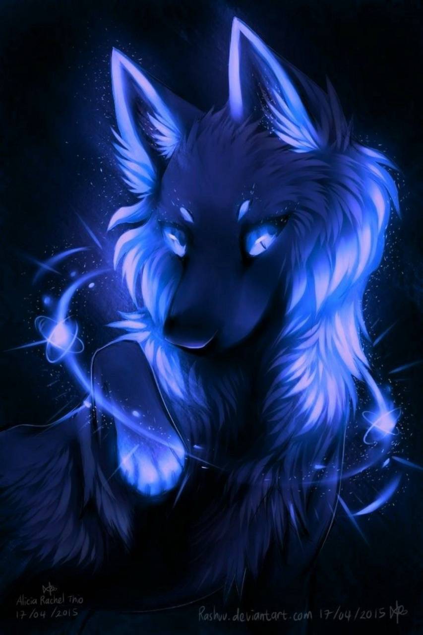 Cool Blue Wolf Wallpapers Top Những Hình Ảnh Đẹp