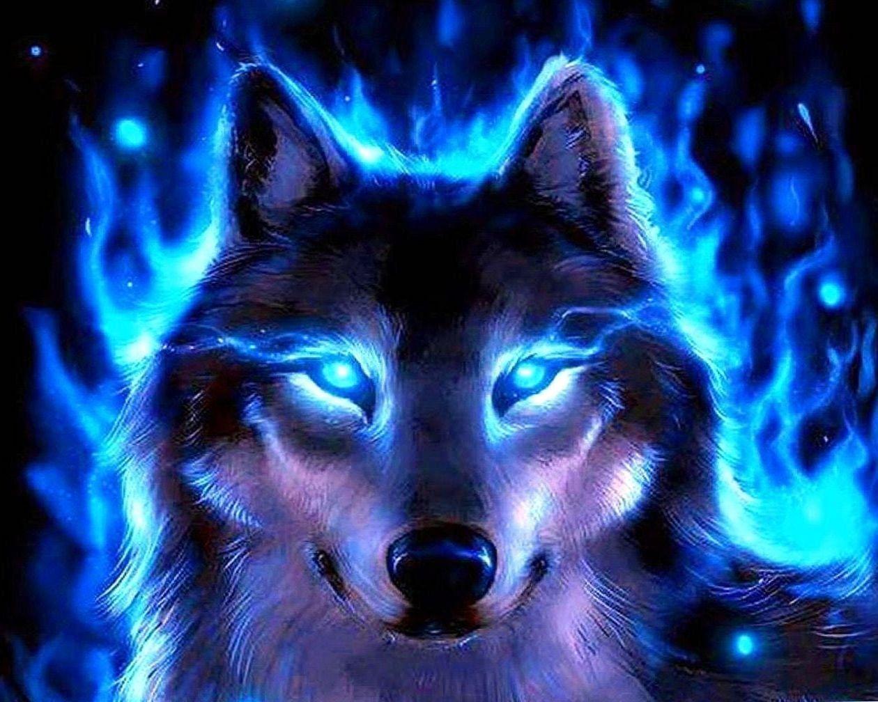 1260x1008 Wallpaper Ice Blue Wolf Wallpaper.Pro