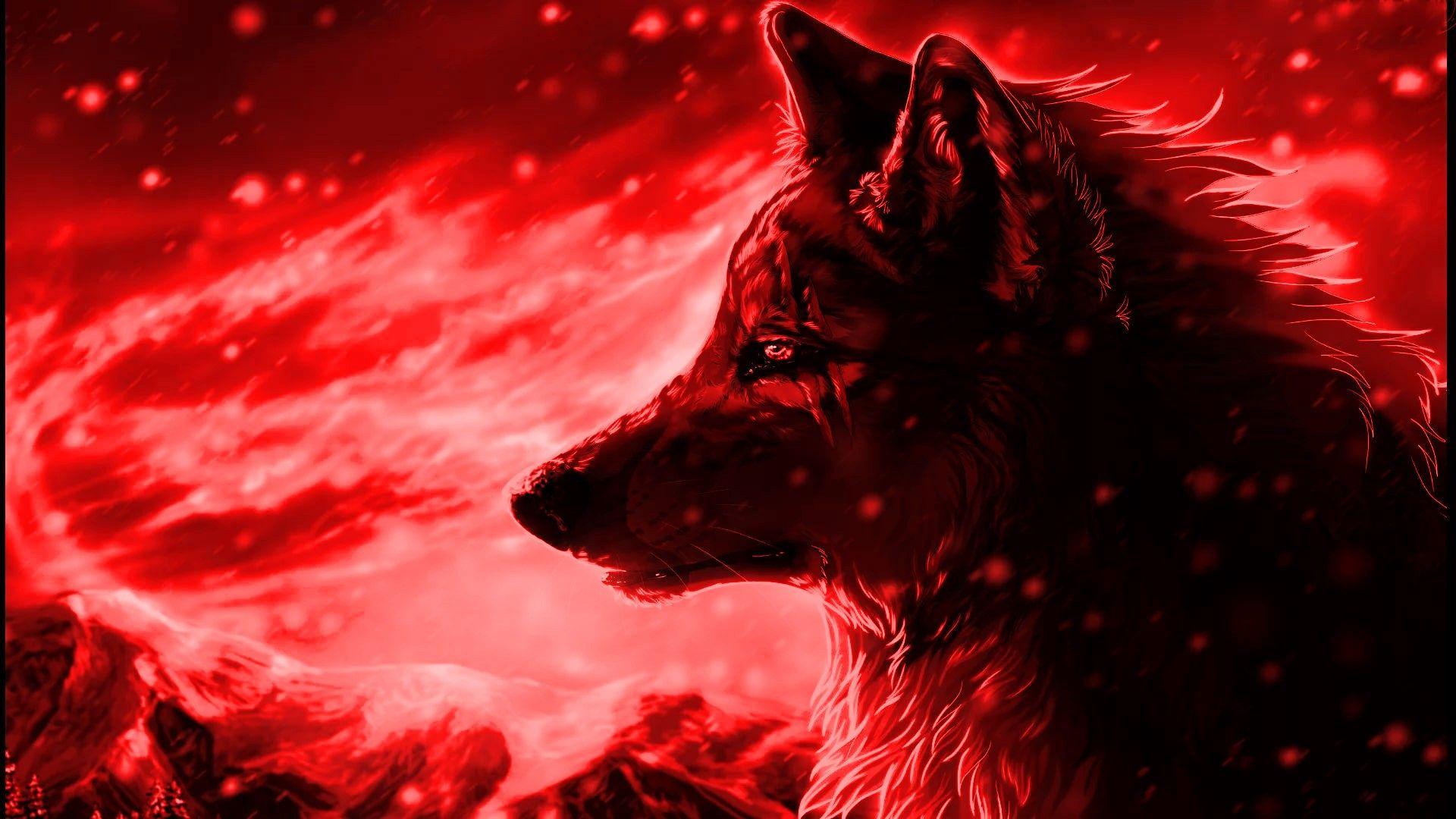 Cool Red Wolf Wallpapers - Top Free Cool Red Wolf Backgrounds -  WallpaperAccess