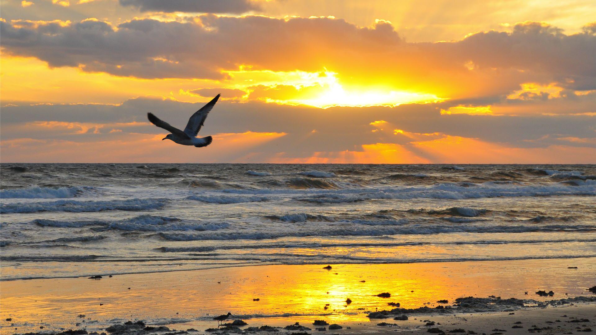 1920x1080 Sunrise Beach Wallpaper