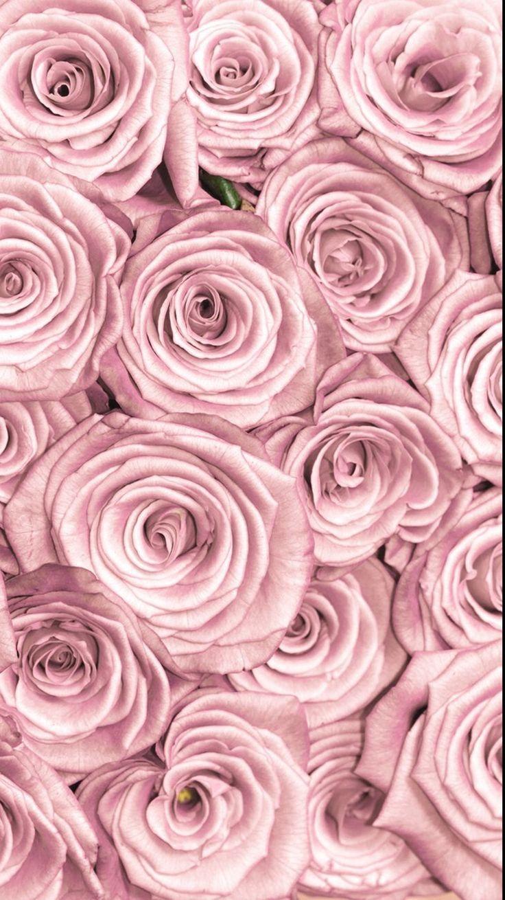 736x1310 lock screen girly rose gold wallpaper 2020