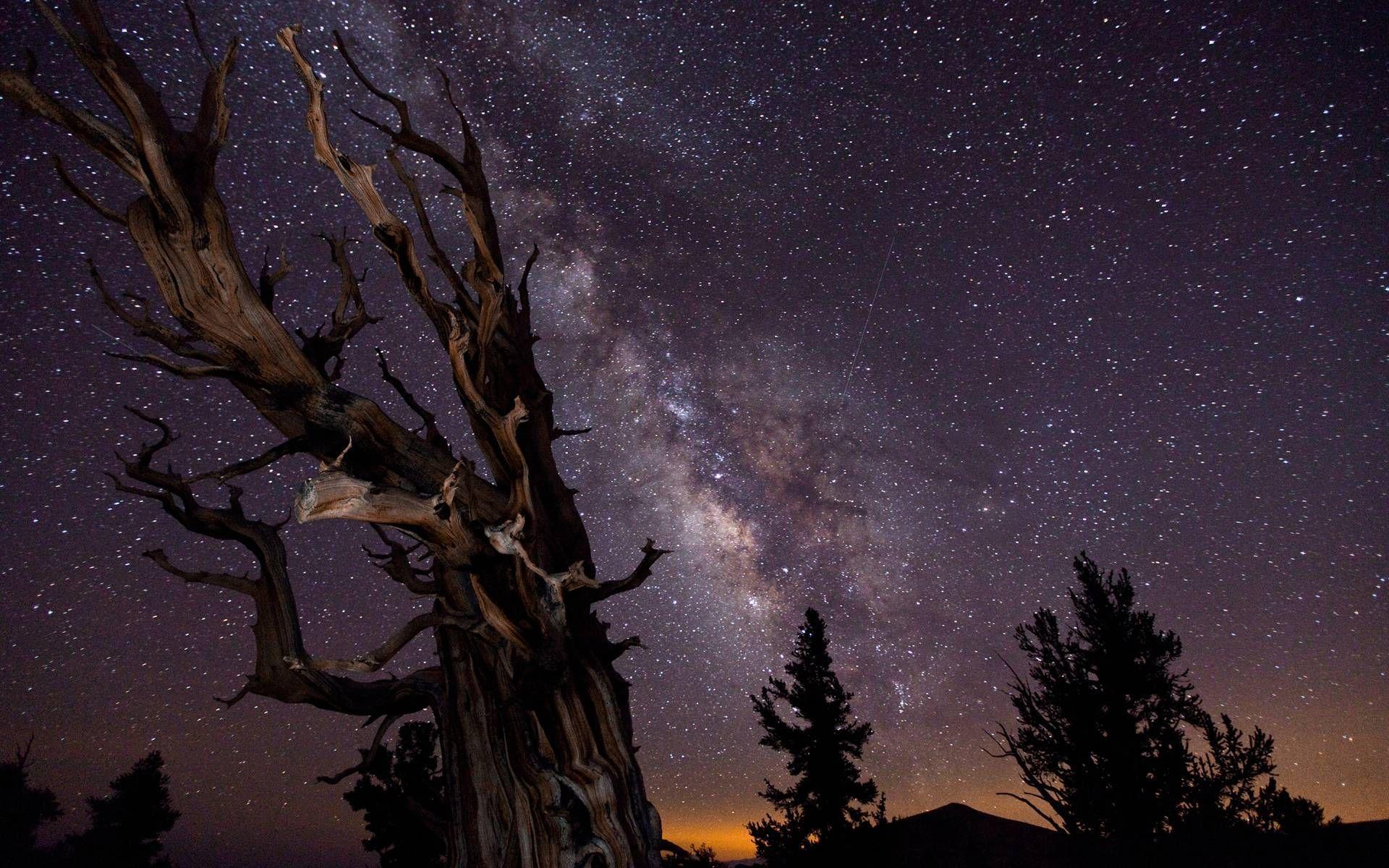 1920x1200 Keywords Night Sky With Stars Wallpaper HD and Tags. HD Wallpaper