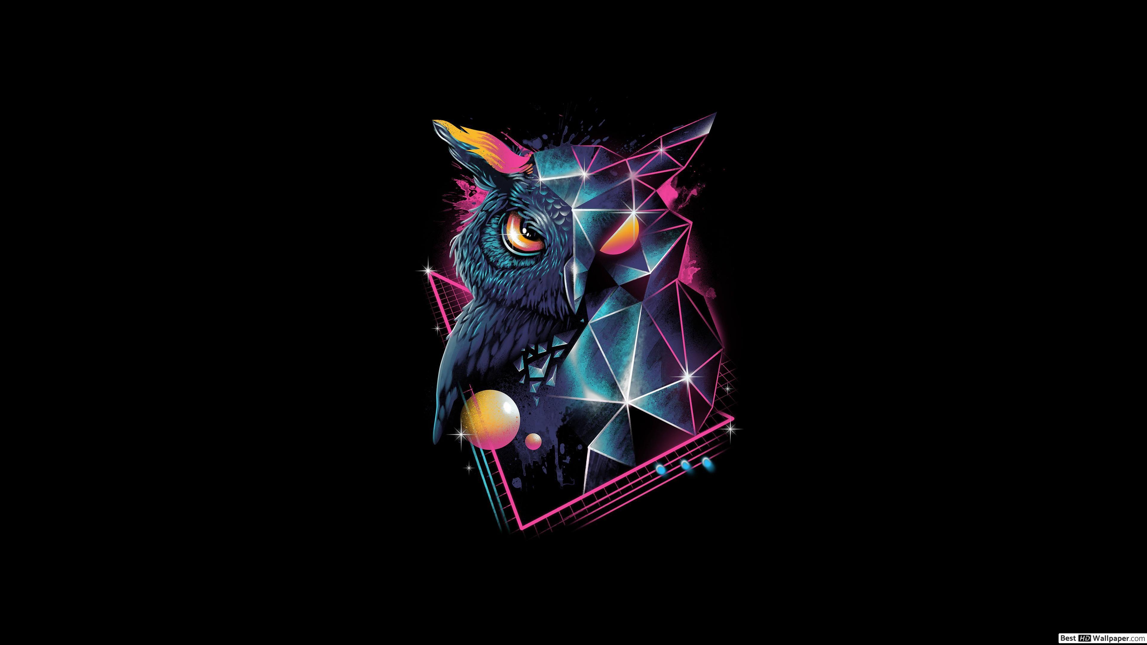 3840x2160 Retro Owl HD wallpaper download