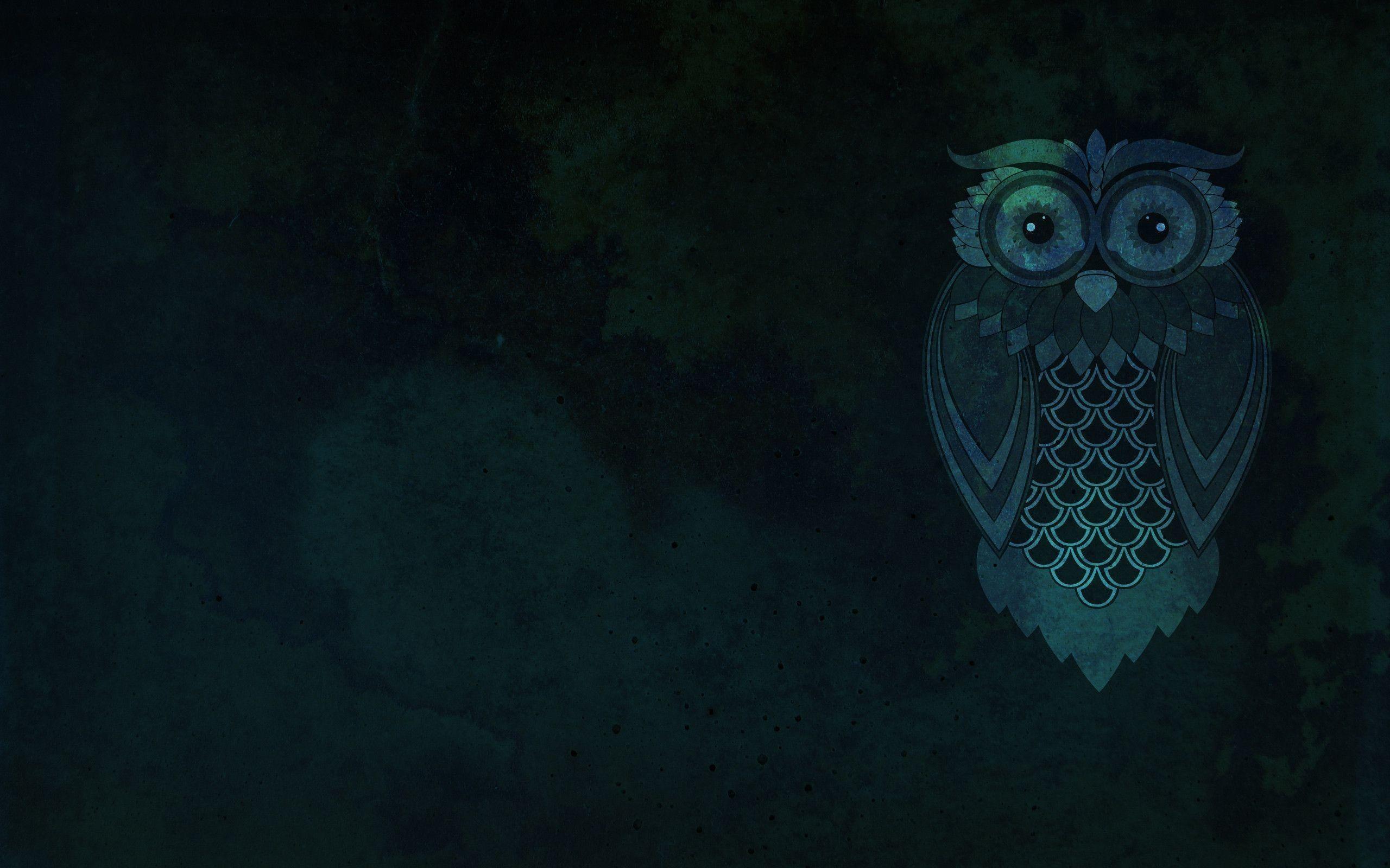 2560x1600 Owl Wallpaper Picture