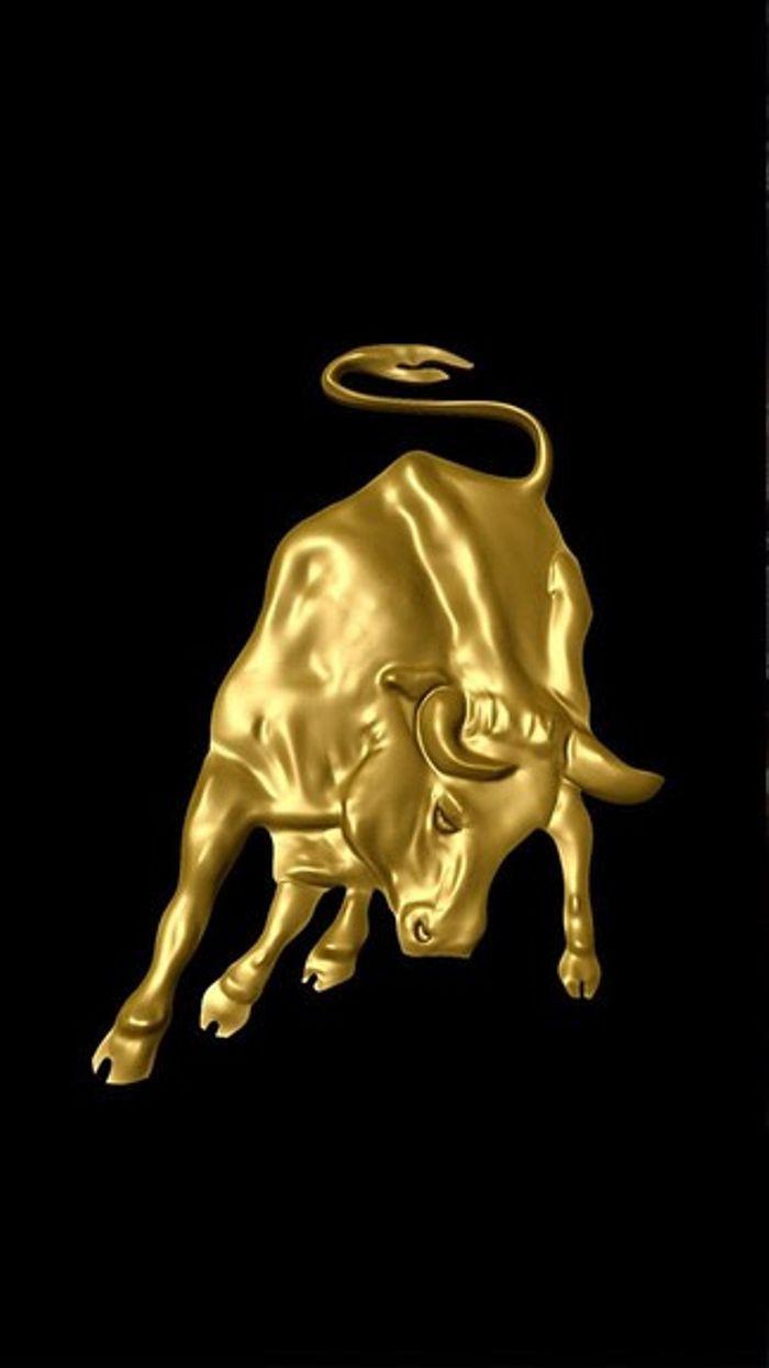 700x1244 Raging Bull Wallpaper