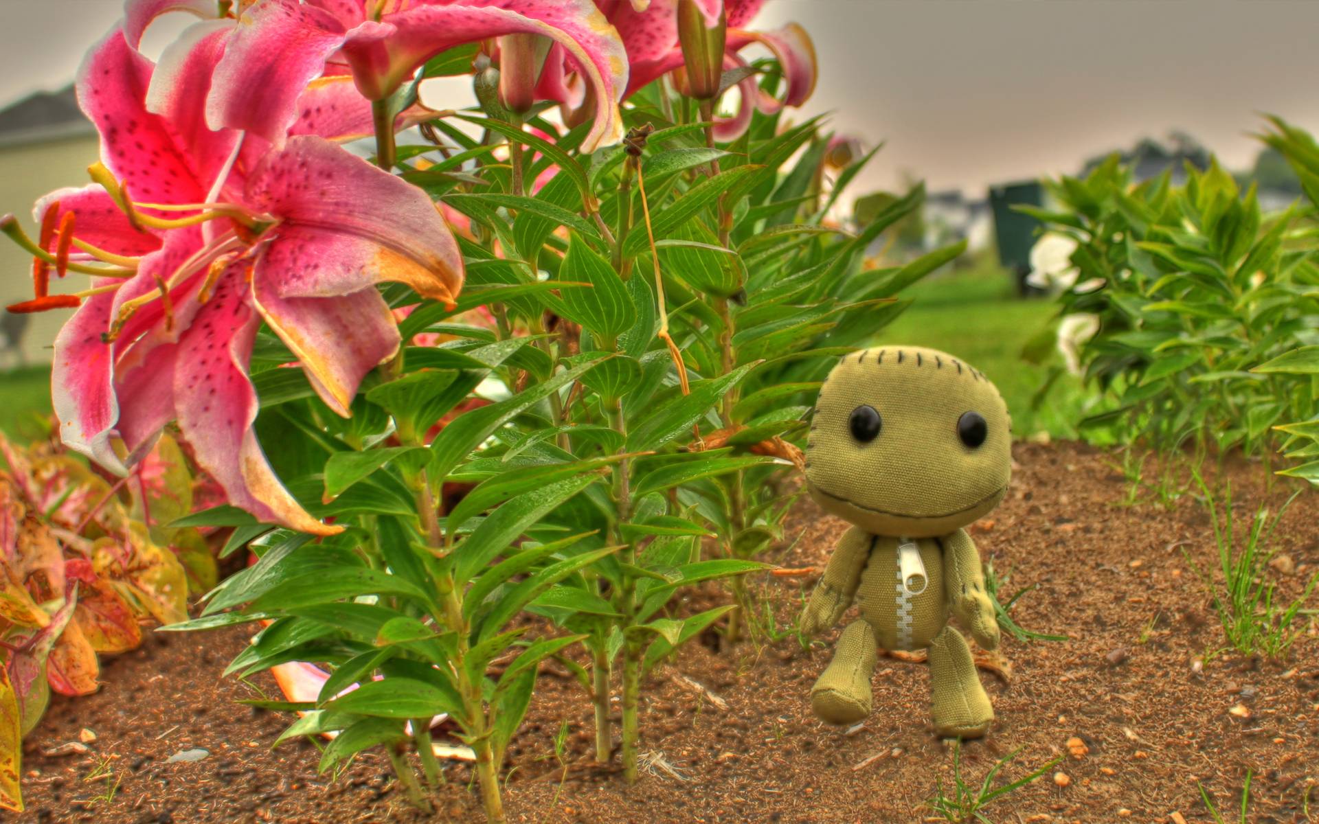 1920x1200 Sackboy Wallpaper