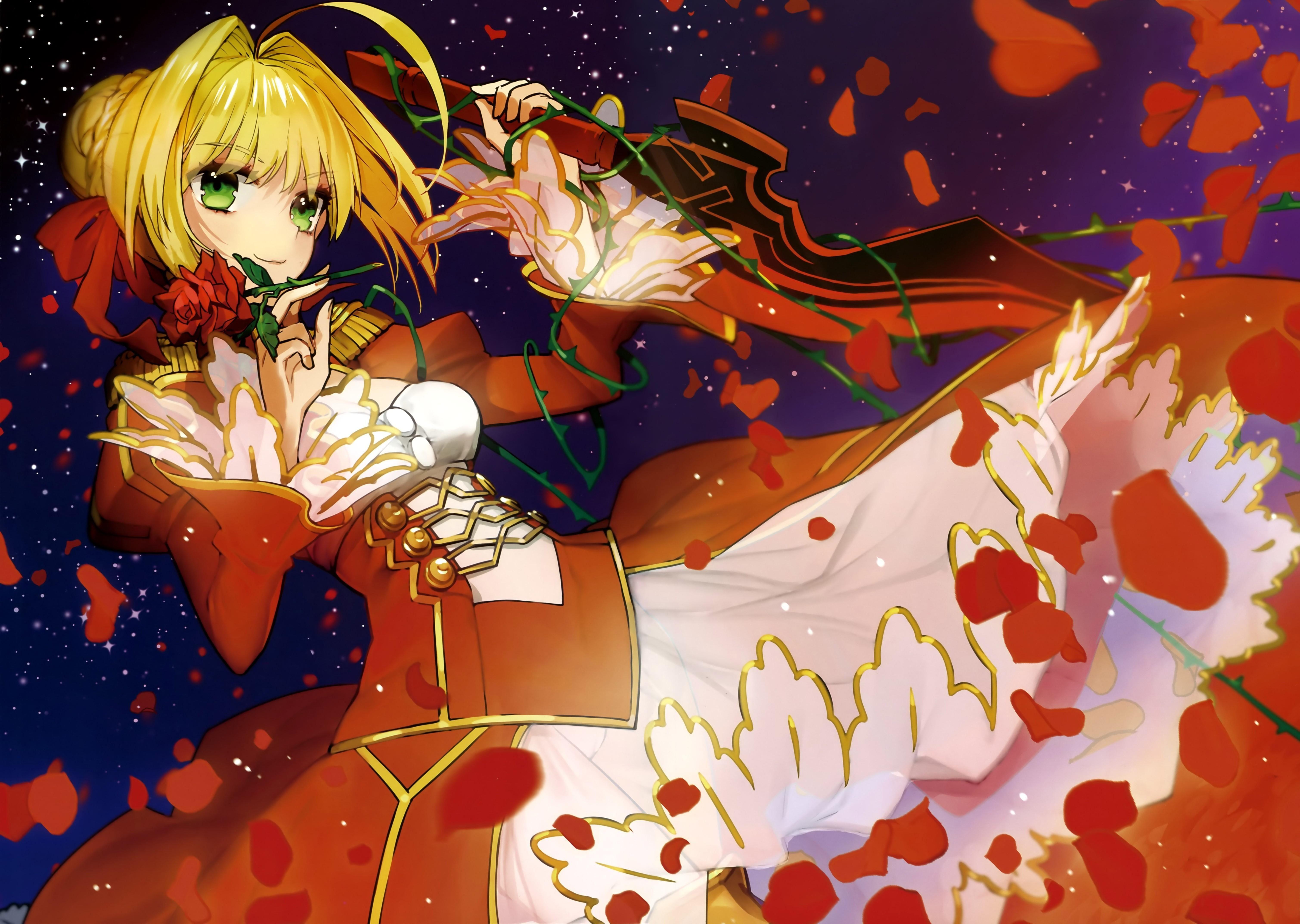 6038x4291 Fate Extella Wallpaper