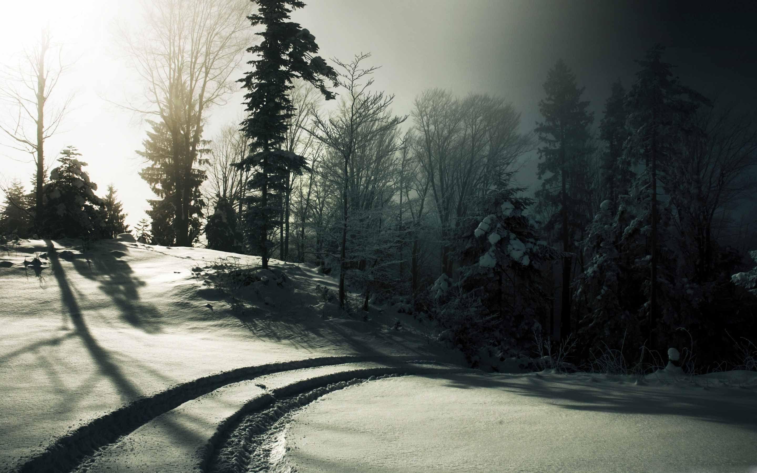 2880x1800 Car Tracks On The Snow Mac Wallpaper Download