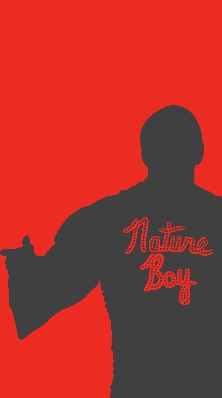 Ric Flair Wallpapers - Top Free Ric Flair Backgrounds - WallpaperAccess