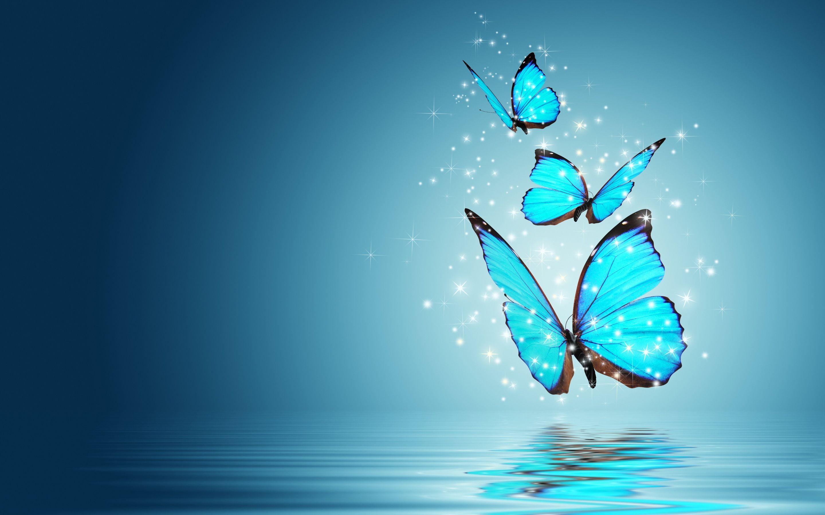 Blue Butterfly Wallpapers - Top Free Blue Butterfly Backgrounds -  WallpaperAccess