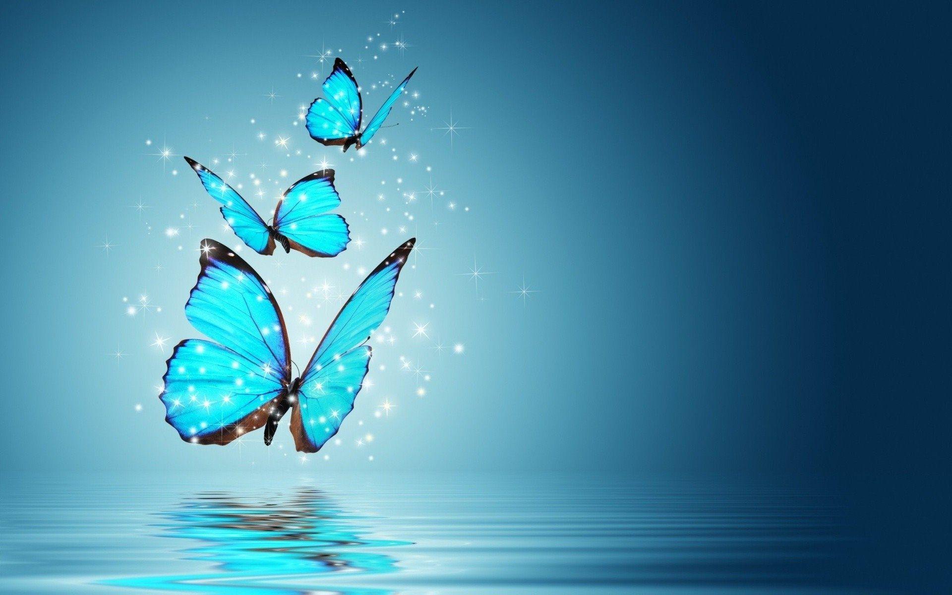 Featured image of post Blue Butterfly Wallpaper Pc We have a massive amount of desktop and mobile backgrounds