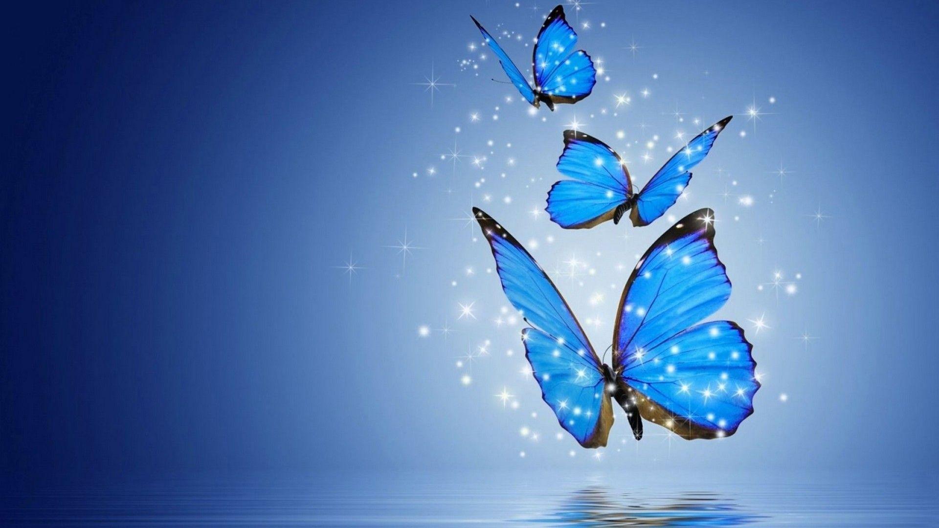Blue Butterfly Wallpapers - Top Free Blue Butterfly Backgrounds