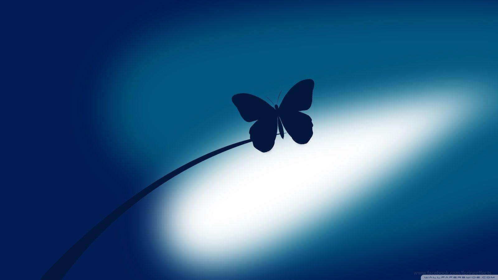 Blue Butterfly Wallpapers - Top Free Blue Butterfly Backgrounds ...