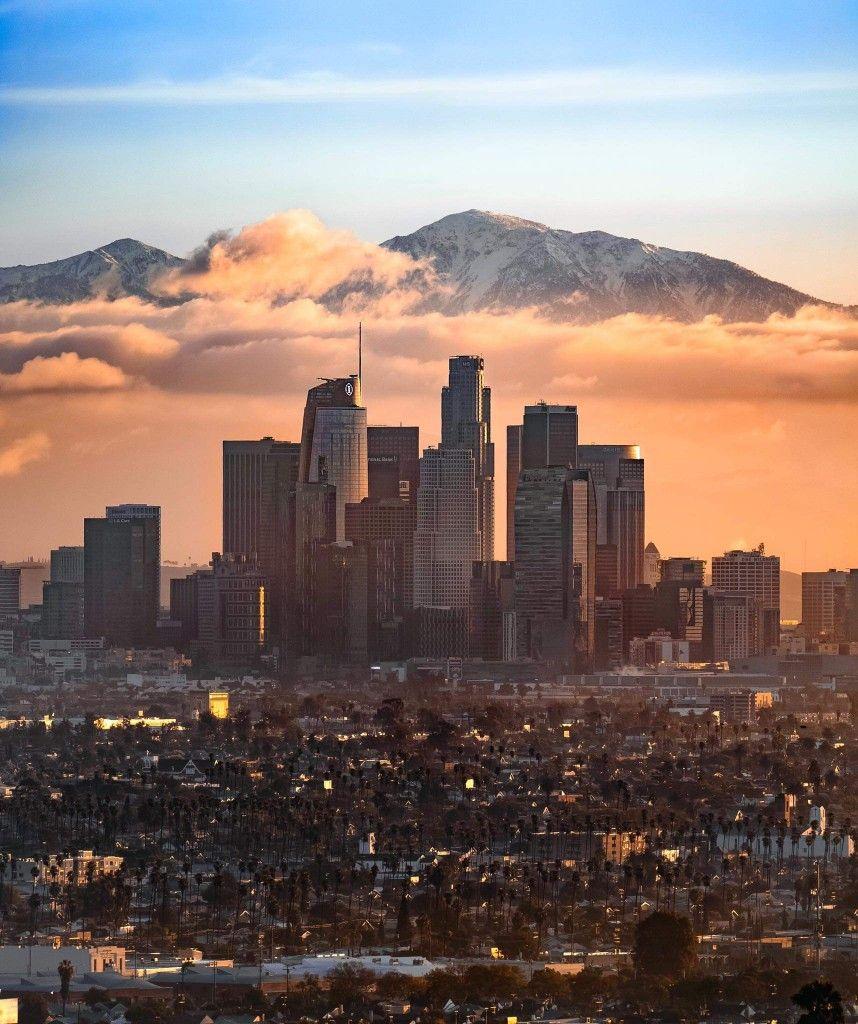 858x1024 The City Center of Los Angeles. Los angeles cityscape, Los angeles skyline, Los angeles landscape