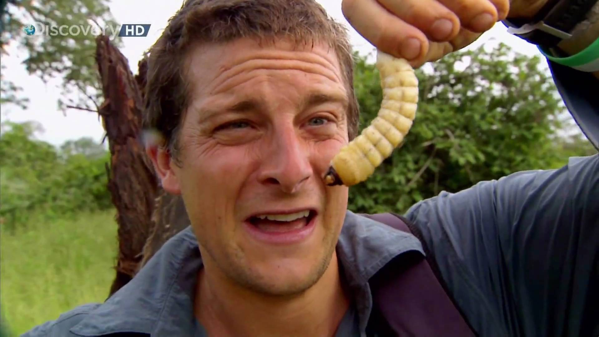 1920x1080 Man vs Wild Bear Grylls 10 Background