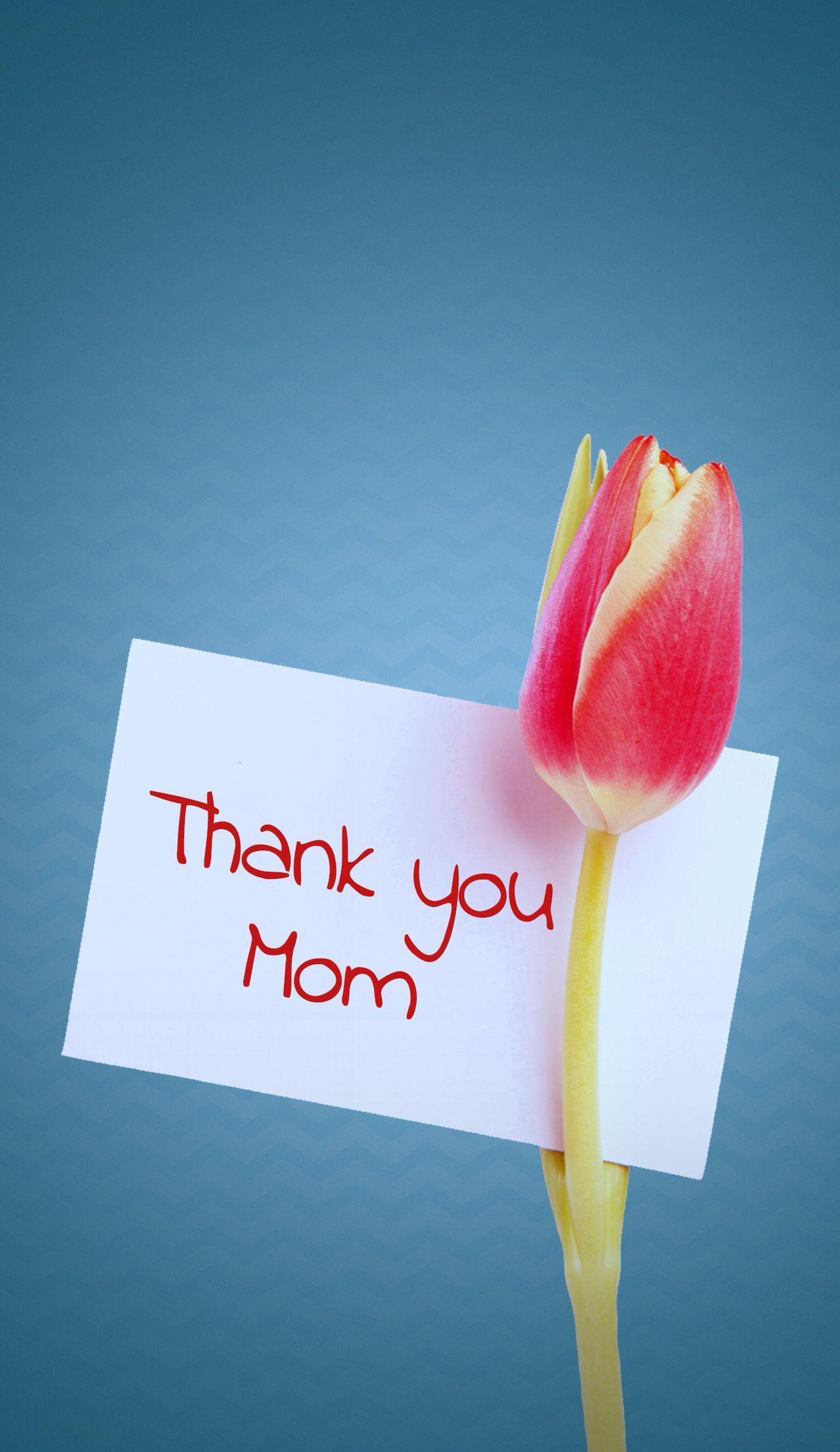 Your Mom Wallpapers - Top Free Your Mom Backgrounds - WallpaperAccess