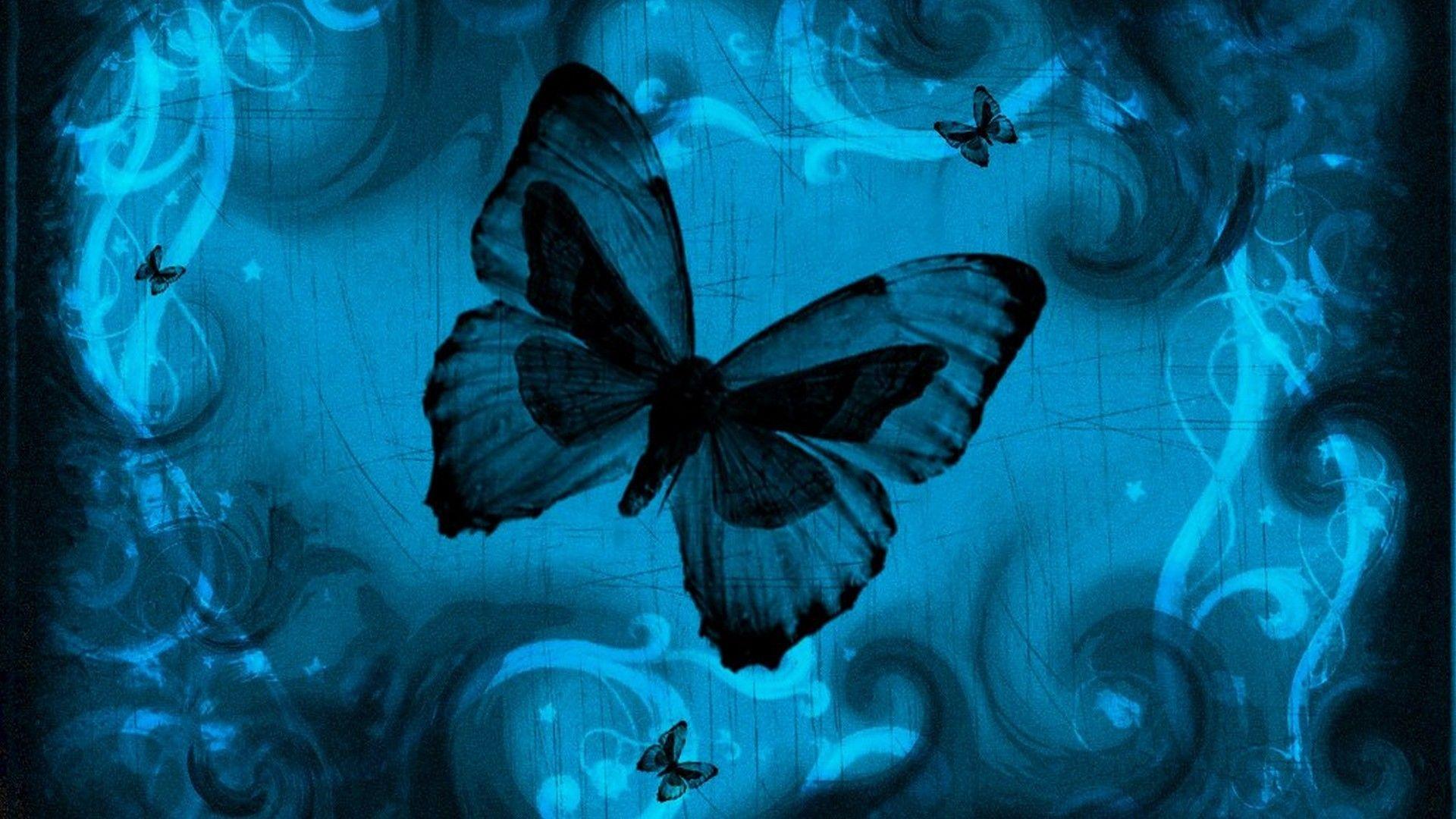 1920x1080 Hình nền Máy tính Con bướm xanh - Hình nền 2018 HD