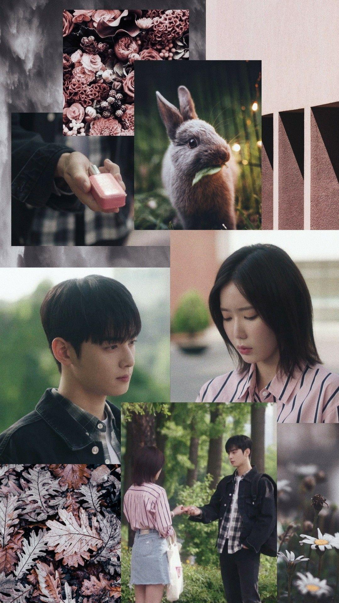 1079x1920 My ID is Gangnam Beauty WALLPAPERS #wallpaper #lockscreen. Корейские мелодрамы, Корейские актеры, Актер
