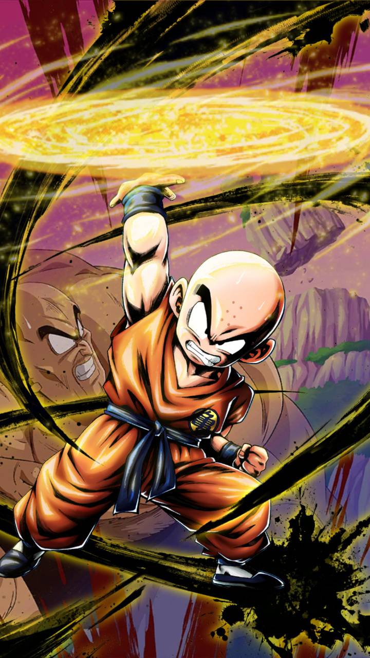 Krillin Wallpapers - Top Free Krillin Backgrounds - WallpaperAccess