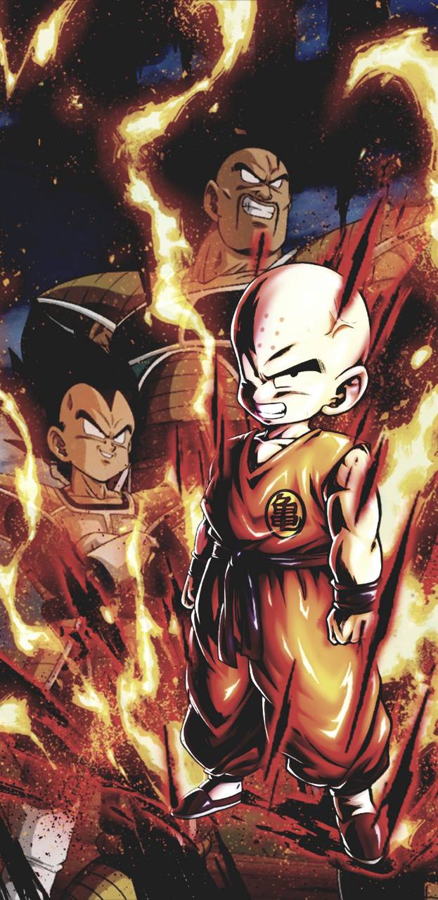 Krillin Wallpapers - Top Free Krillin Backgrounds - WallpaperAccess