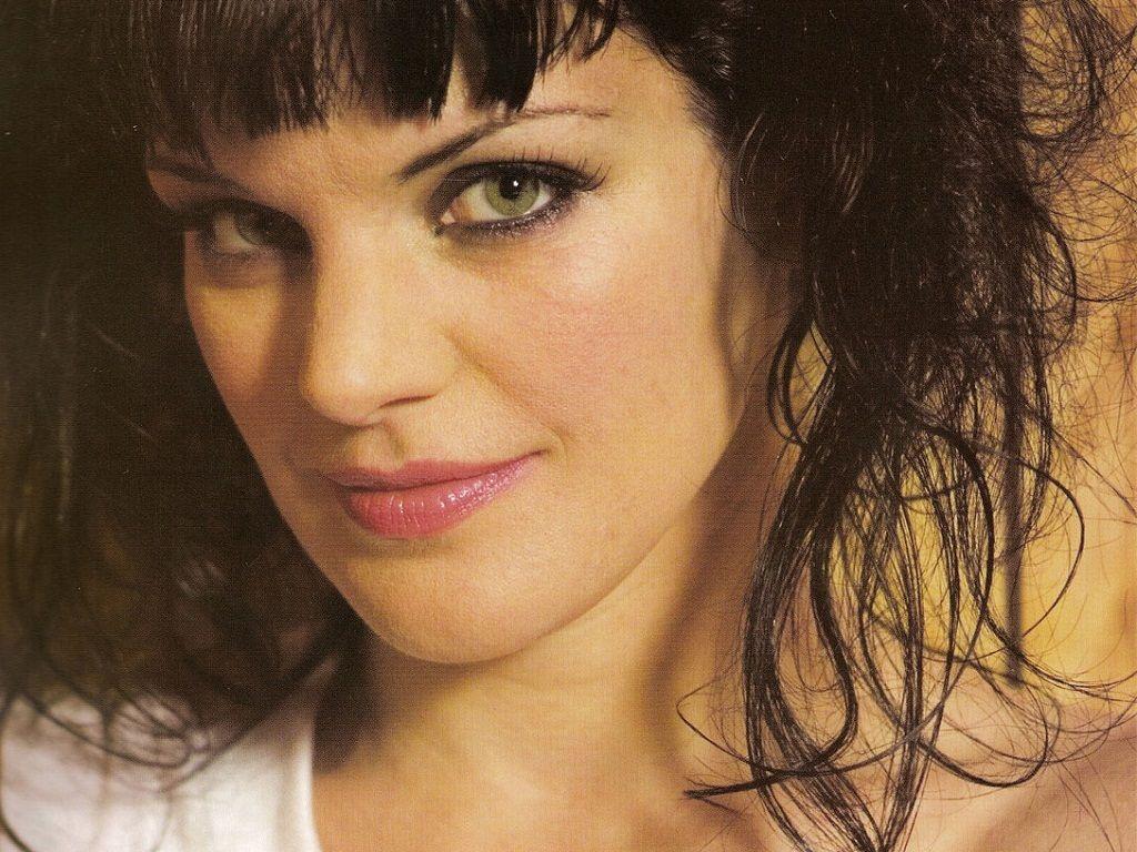 1024x768 Image Photos 25900000 NCIS Wallpaper Ncis